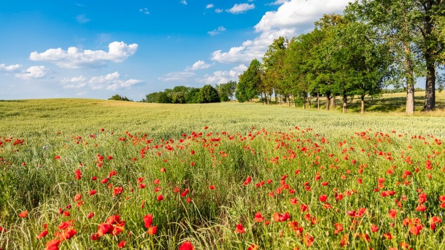 Dlaczego rozpoczęliśmy przygodę z Chèvre au lait na Mazurach