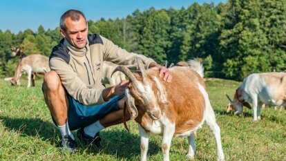 Kozie sery tworzone z pasją przez Martę