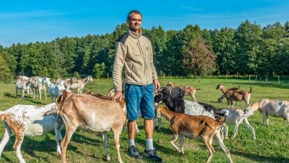 Kozie sery tworzone z pasją przez Martę