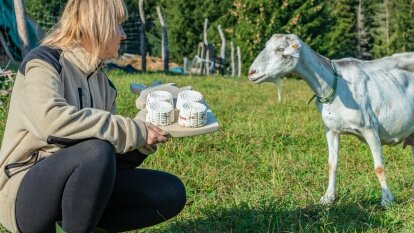 Kozie sery tworzone z pasją przez Martę