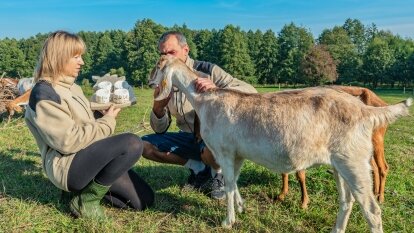 Kozie sery tworzone z pasją przez Martę
