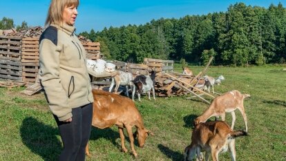Kozie sery tworzone z pasją przez Martę